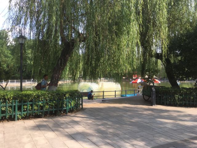 莲湖公园旅行图片 3