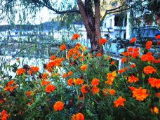 汾酒文化景区-汾阳-滇国剑客