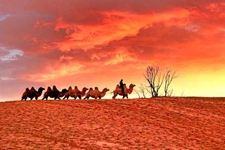 耳边的驼铃，眼前的夕阳，无垠的沙漠，带给我们震撼的视觉冲击