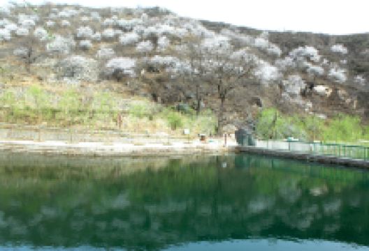 秋山风景区景点图片