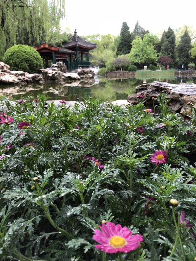 宣武艺园旅行图片 1