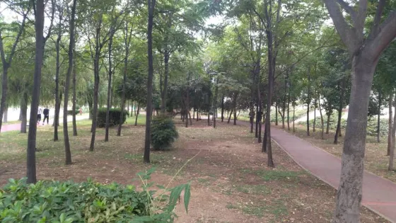 錦江南生態園