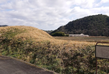 Toyota Kurumatsuka Ancient Tomb景点图片