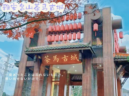 成都周边游|雅安名山茶马古城