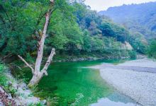 阳坝自然风景区景点图片