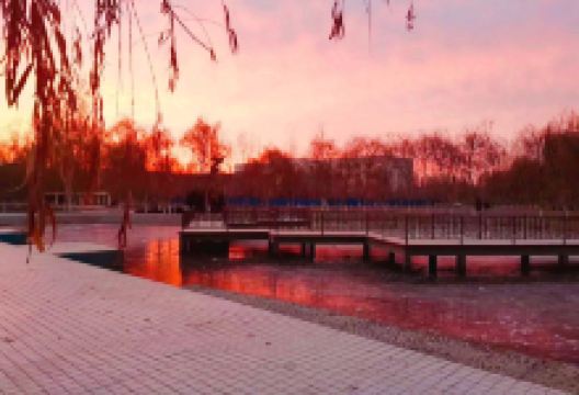 塔里木大学景点图片