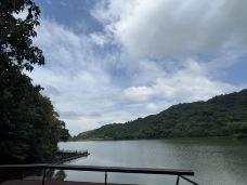 梅花湖-宜兰-岱山香橙