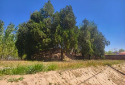 萧城遗址景点图片