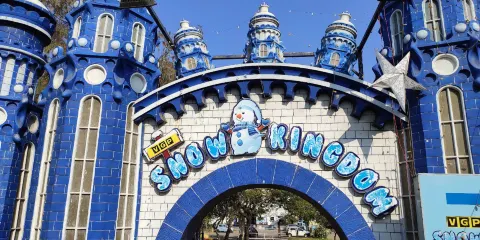 VGP Snow Kingdom