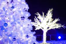 拉格娜登堡游乐园-蒲郡市-C-IMAGE