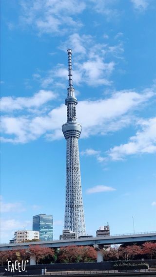 初遇日本—东京到大阪7日浅游之旅（回忆篇）