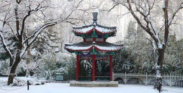 昌平公园旅行图片 3