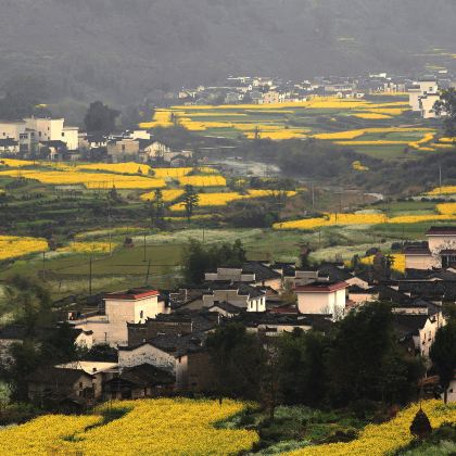 江西南昌+庐山风景区+鄱阳湖+景德镇+三清山+婺源篁岭+黄山风景区+宏村8日7晚跟团游