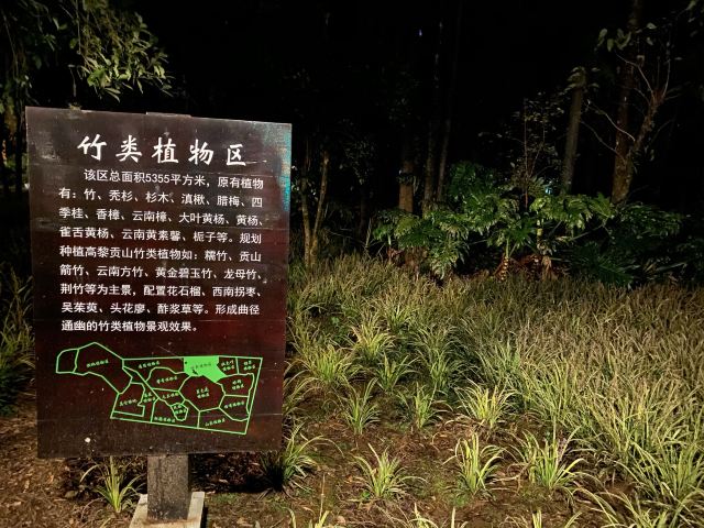 高黎贡山植物园旅行图片 8