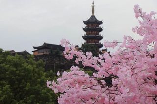 这里是南京 用五天时间逛六朝古都