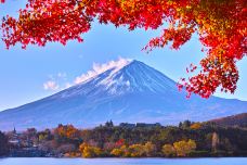 山梨县立富士山世界遗产中心-富士河口湖町
