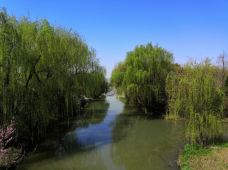 同里国家湿地公园-苏州-安杨桂子
