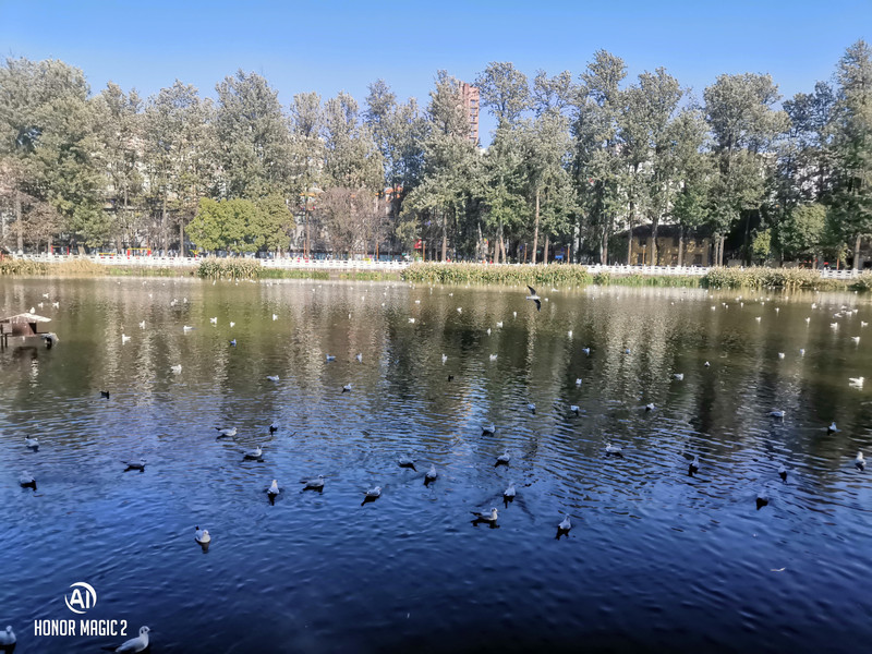 昆明旅游网