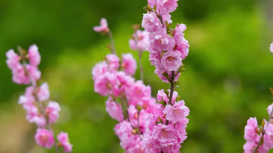 漩門灣國家濕地公園