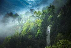 仙寓山景区-石台-夏吹夏夜风
