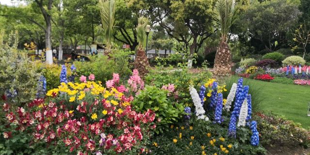 岭南公园旅行图片 3