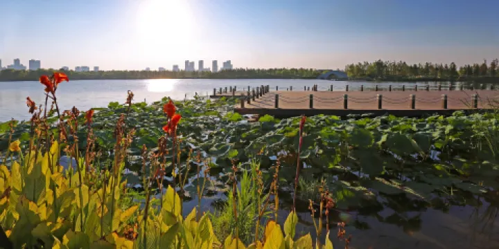 慈溪市森林公園