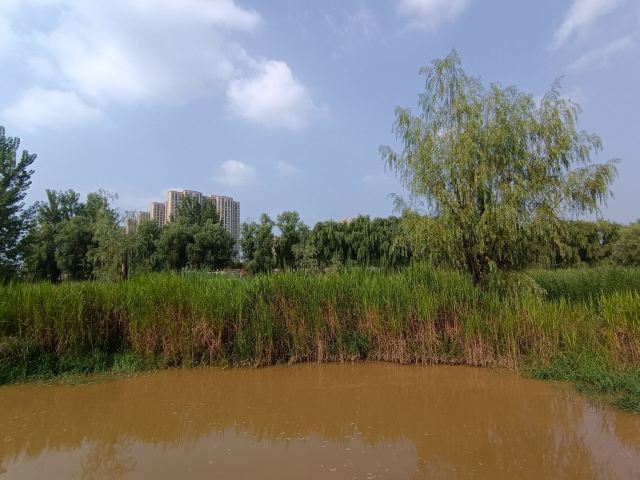 长安城市公园(樊川公园)旅行图片 3
