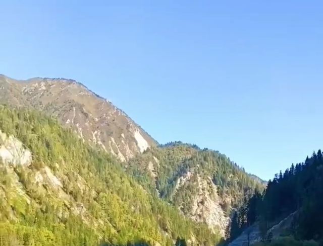 箭竹海下车点旅行图片 3