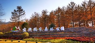 深秋邂逅宜兴国家森林公园,惊艳了整个山野