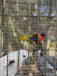 茂名森林公园-茂名-C-IMAGE