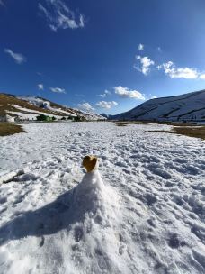 大海草山-会泽-我叫什么zxc
