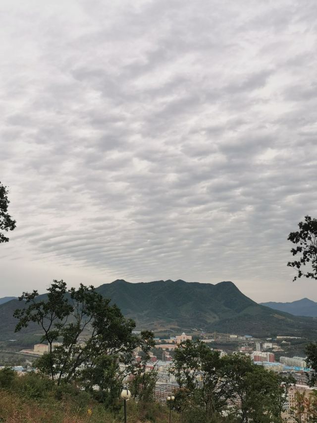 观音山公园旅行图片 4