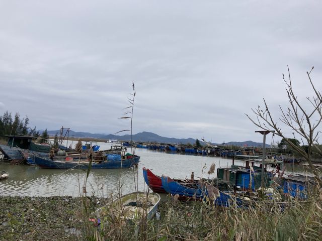 闽江河口国家湿地公园旅行图片 3