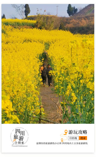 成都自驾2h有个四川“小天坛”?赏超大片花海、自助草莓采摘、野炊,全家出游就选这里