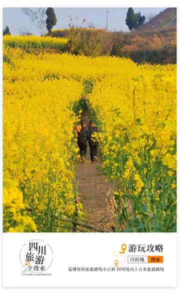 成都自驾2h有个四川“小天坛”？赏超大片花海、自助草莓采摘、野炊，全家出游就选这里