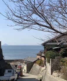 男木岛之魂-高松-流浪的小狐狸