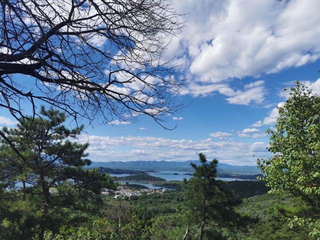 大石山森林公园旅行图片 14