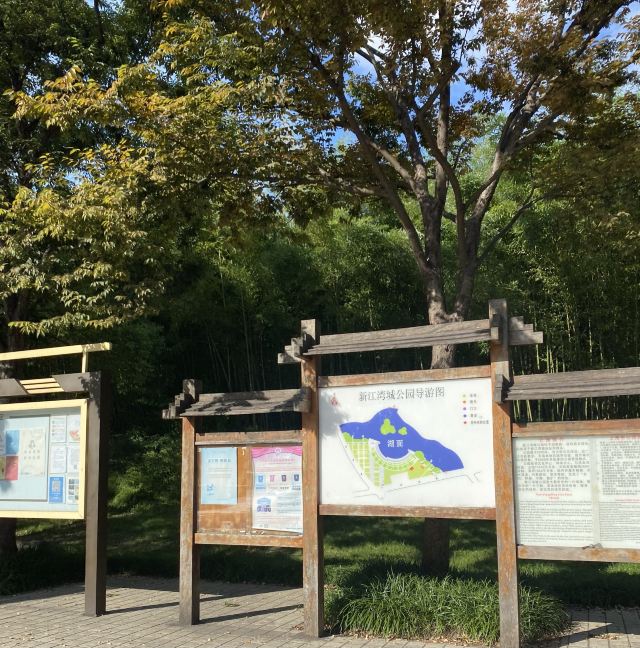新江湾城公园旅行图片 1