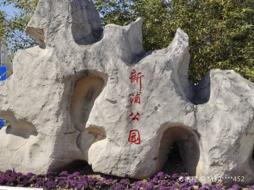 新浦公园