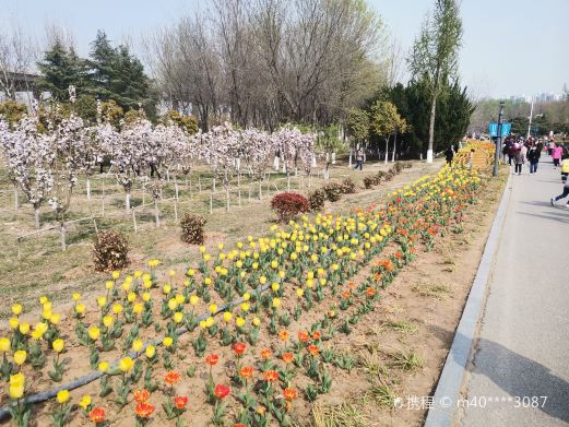 杨家河公园