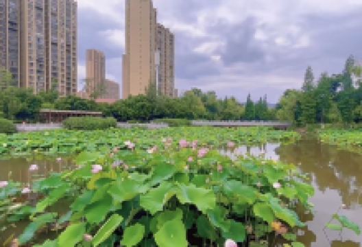 富民湿地公园景点图片