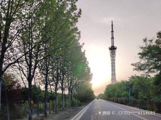 蒙城县森林公园