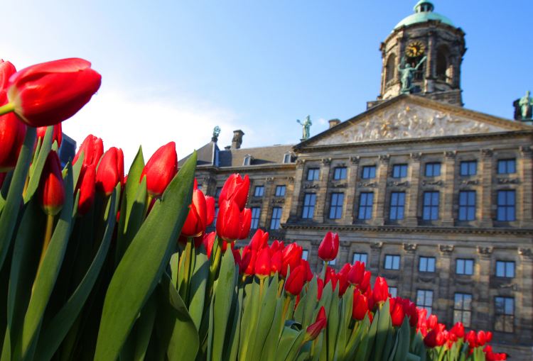 Royal Palace Amsterdam
