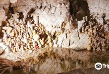 Petrified Caves景点图片