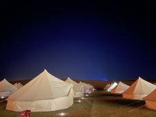 腾格里沙漠-阿拉善左旗-岱山香橙