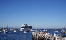 老渔人码头-蒙特雷-小小呆60