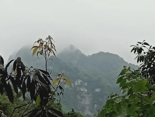 本人苦逼的峨眉山游记,想要穷游峨眉山的老铁们也可以把它当做攻略