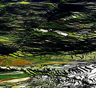 福建纪游（辑昔日游览诗文）游闽东、闽中（五）======骆炎心
