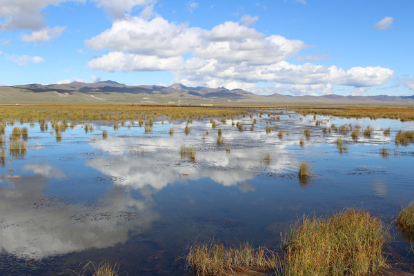 畅游祖国之自驾甘肃(敦煌甘南加麦积山九寨沟）