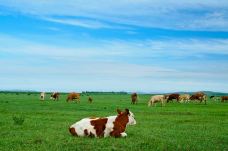 贡格尔草原-克什克腾旗